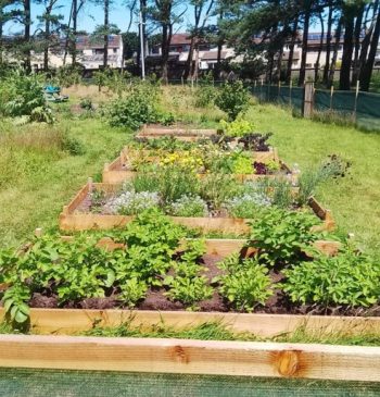 garden beds