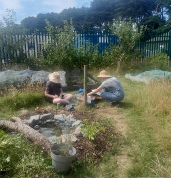 garden chats