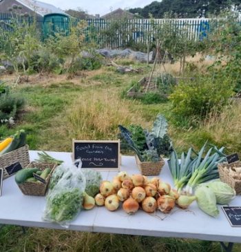 garden produce stall