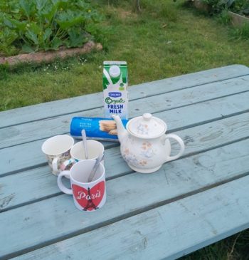 garden tea break