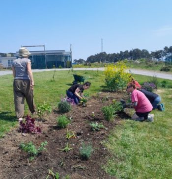 garden weeding
